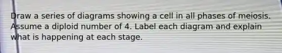 Draw a series of diagrams showing a cell in all phases of meiosis. Assume a diploid number of 4. Label each diagram and explain what is happening at each stage.