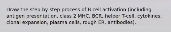 Draw the step-by-step process of B cell activation (including antigen presentation, class 2 MHC, BCR, helper T-cell, cytokines, clonal expansion, plasma cells, rough ER, antibodies).