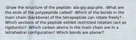 -Draw the structure of the peptide: ala-gly-asp-phe. -What are the ends of the polypeptide called? -Which of the bonds in the main chain (backbone) of the tetrapeptide can rotate freely? -Which sections of the peptide exhibit restricted rotation (act as rigidunits)? -Which carbon atoms in the main chain are in a tetrahedral configuration? Which bonds are planar?