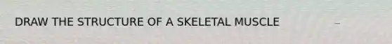 DRAW THE STRUCTURE OF A SKELETAL MUSCLE