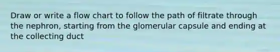 Draw or write a flow chart to follow the path of filtrate through the nephron, starting from the glomerular capsule and ending at the collecting duct