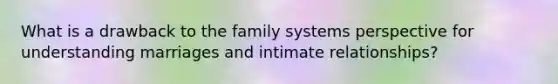 What is a drawback to the family systems perspective for understanding marriages and intimate relationships?