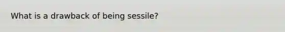 What is a drawback of being sessile?