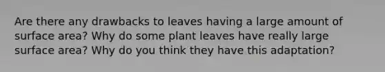 Are there any drawbacks to leaves having a large amount of surface area? Why do some plant leaves have really large surface area? Why do you think they have this adaptation?