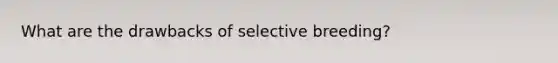 What are the drawbacks of selective breeding?