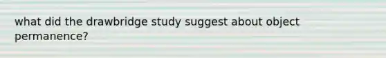 what did the drawbridge study suggest about object permanence?