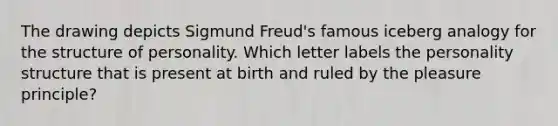 The drawing depicts Sigmund Freud's famous iceberg analogy for the structure of personality. Which letter labels the personality structure that is present at birth and ruled by the pleasure principle?