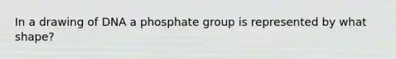 In a drawing of DNA a phosphate group is represented by what shape?