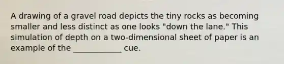 A drawing of a gravel road depicts the tiny rocks as becoming smaller and less distinct as one looks "down the lane." This simulation of depth on a two-dimensional sheet of paper is an example of the ____________ cue.