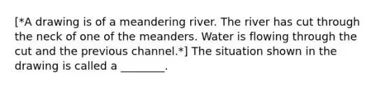 [*A drawing is of a meandering river. The river has cut through the neck of one of the meanders. Water is flowing through the cut and the previous channel.*] The situation shown in the drawing is called a ________.