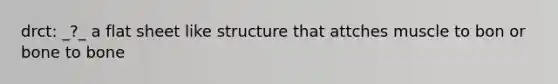 drct: _?_ a flat sheet like structure that attches muscle to bon or bone to bone