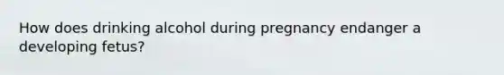 How does drinking alcohol during pregnancy endanger a developing fetus?