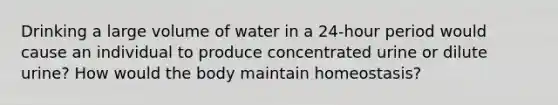 Drinking a large volume of water in a 24-hour period would cause an individual to produce concentrated urine or dilute urine? How would the body maintain homeostasis?