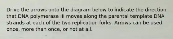 Drive the arrows onto the diagram below to indicate the direction that DNA polymerase III moves along the parental template DNA strands at each of the two replication forks. Arrows can be used once, more than once, or not at all.