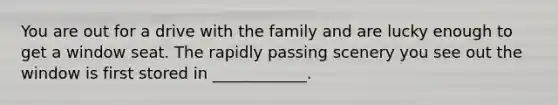 You are out for a drive with the family and are lucky enough to get a window seat. The rapidly passing scenery you see out the window is first stored in ____________.