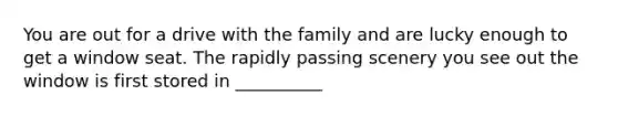 You are out for a drive with the family and are lucky enough to get a window seat. The rapidly passing scenery you see out the window is first stored in __________