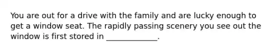 You are out for a drive with the family and are lucky enough to get a window seat. The rapidly passing scenery you see out the window is first stored in _____________.