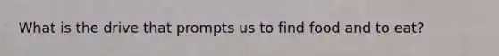 What is the drive that prompts us to find food and to eat?