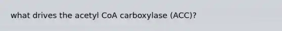 what drives the acetyl CoA carboxylase (ACC)?