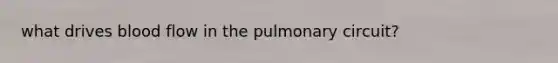 what drives blood flow in the pulmonary circuit?