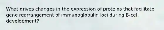 What drives changes in the expression of proteins that facilitate gene rearrangement of immunoglobulin loci during B-cell development?