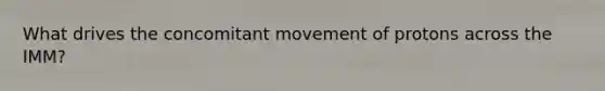 What drives the concomitant movement of protons across the IMM?