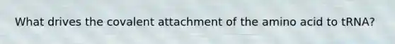 What drives the covalent attachment of the amino acid to tRNA?