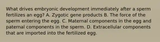 What drives embryonic development immediately after a sperm fertilizes an egg? A. Zygotic gene products B. The force of the sperm entering the egg. C. Maternal components in the egg and paternal components in the sperm. D. Extracellular components that are imported into the fertilized egg.