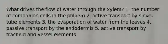 What drives the flow of water through the xylem? 1. the number of companion cells in the phloem 2. active transport by sieve-tube elements 3. the evaporation of water from the leaves 4. passive transport by the endodermis 5. active transport by tracheid and vessel elements