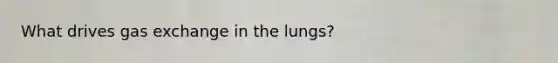 What drives gas exchange in the lungs?