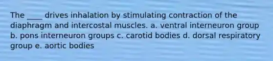 The ____ drives inhalation by stimulating contraction of the diaphragm and intercostal muscles. a. ventral interneuron group b. pons interneuron groups c. carotid bodies d. dorsal respiratory group e. aortic bodies