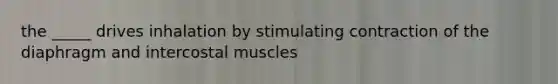 the _____ drives inhalation by stimulating contraction of the diaphragm and intercostal muscles