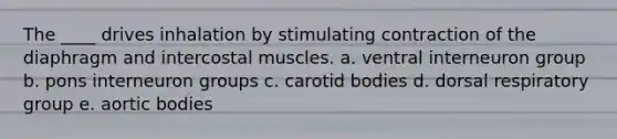 The ____ drives inhalation by stimulating contraction of the diaphragm and intercostal muscles.​ a. ​ventral interneuron group b. ​pons interneuron groups c. ​carotid bodies d. ​dorsal respiratory group e. ​aortic bodies