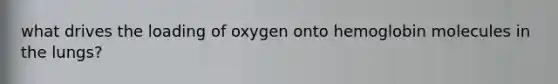 what drives the loading of oxygen onto hemoglobin molecules in the lungs?