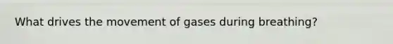 What drives the movement of gases during breathing?