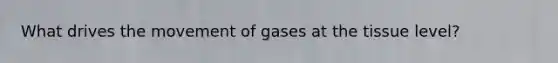 What drives the movement of gases at the tissue level?