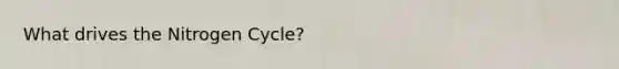What drives the Nitrogen Cycle?