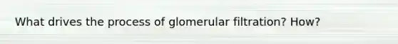 What drives the process of glomerular filtration? How?