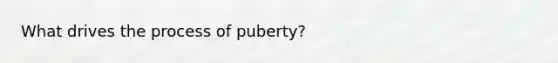 What drives the process of puberty?