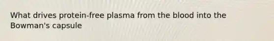 What drives protein-free plasma from the blood into the Bowman's capsule