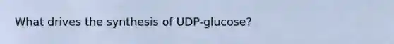 What drives the synthesis of UDP-glucose?