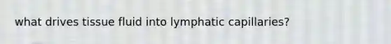 what drives tissue fluid into lymphatic capillaries?