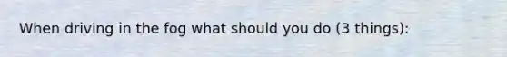 When driving in the fog what should you do (3 things):