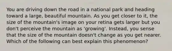 You are driving down the road in a national park and heading toward a large, beautiful mountain. As you get closer to it, the size of the mountain's image on your retina gets larger but you don't perceive the mountain as 'growing'. Instead, you sense that the size of the mountain doesn't change as you get nearer. Which of the following can best explain this phenomenon?