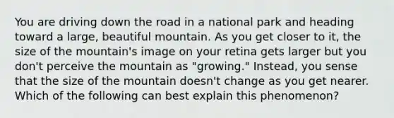 You are driving down the road in a national park and heading toward a large, beautiful mountain. As you get closer to it, the size of the mountain's image on your retina gets larger but you don't perceive the mountain as "growing." Instead, you sense that the size of the mountain doesn't change as you get nearer. Which of the following can best explain this phenomenon?