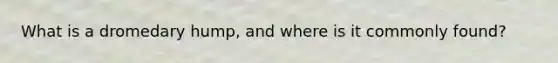 What is a dromedary hump, and where is it commonly found?