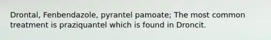 Drontal, Fenbendazole, pyrantel pamoate; The most common treatment is praziquantel which is found in Droncit.