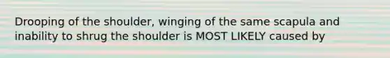 Drooping of the shoulder, winging of the same scapula and inability to shrug the shoulder is MOST LIKELY caused by