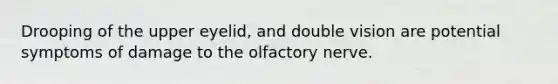 Drooping of the upper eyelid, and double vision are potential symptoms of damage to the olfactory nerve.