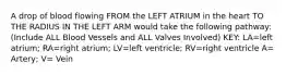 A drop of blood flowing FROM the LEFT ATRIUM in the heart TO THE RADIUS IN THE LEFT ARM would take the following pathway: (Include ALL Blood Vessels and ALL Valves Involved) KEY: LA=left atrium; RA=right atrium; LV=left ventricle; RV=right ventricle A= Artery; V= Vein